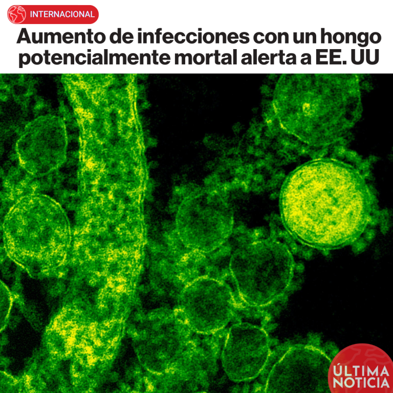 Aumento de infecciones con un hongo potencialmente mortal alerta a EE. UU